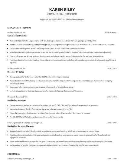 Commercial Director Resume