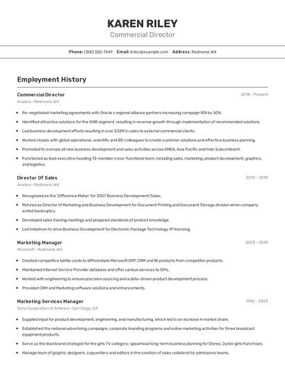 Commercial Director Resume