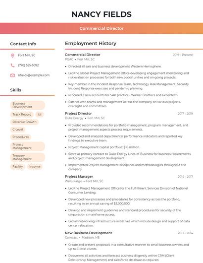 Commercial Director Resume