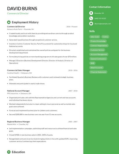 Commercial Director Resume