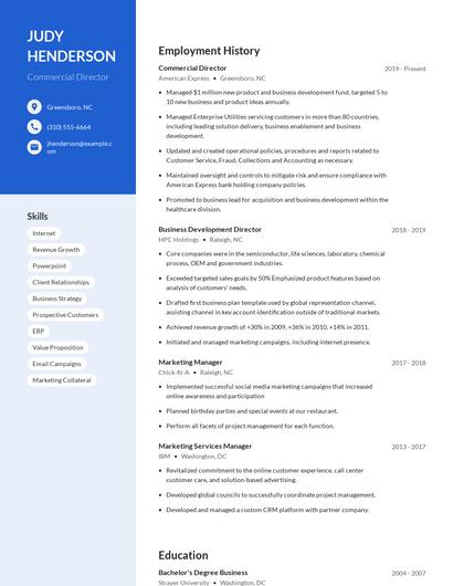 Commercial Director Resume
