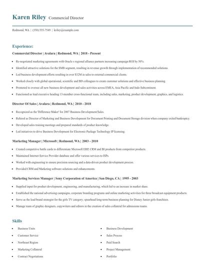 Commercial Director Resume