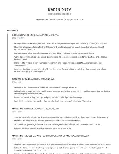 Commercial Director Resume