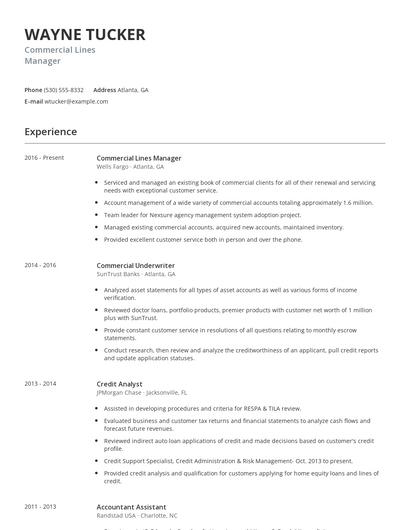 Commercial Lines Manager Resume