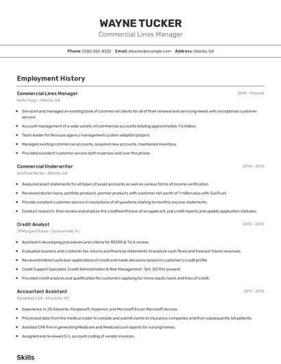 Commercial Lines Manager Resume