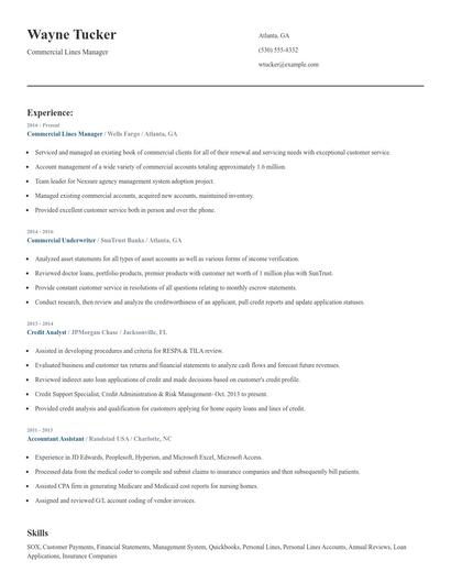 Commercial Lines Manager Resume