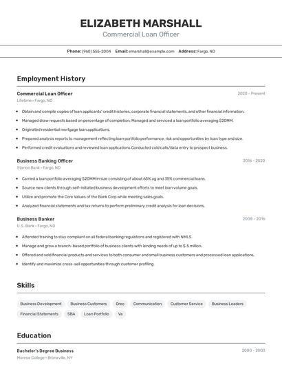 Resume example 2
