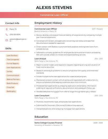 Resume example 3