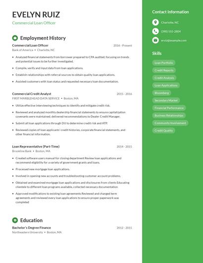 Resume example 4