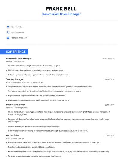 Commercial Sales Manager Resume
