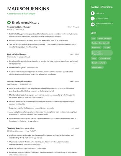 Commercial Sales Manager Resume