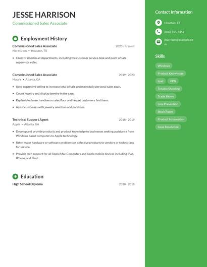 Resume example 5