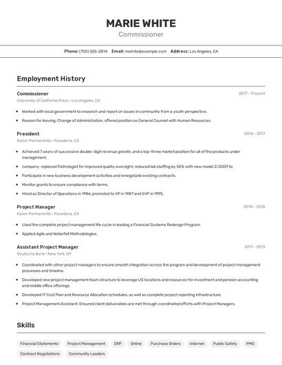Resume example 2