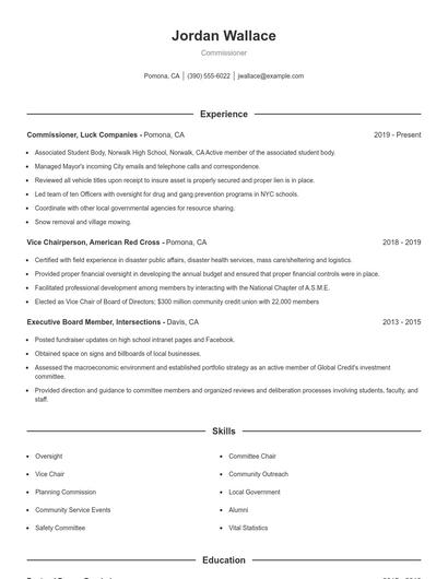Resume example 1