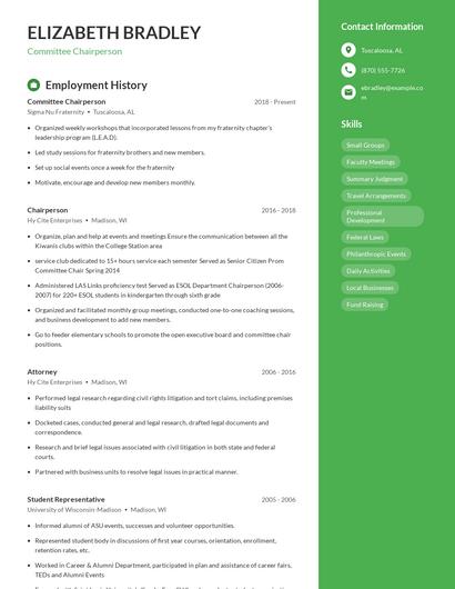 Resume example 4