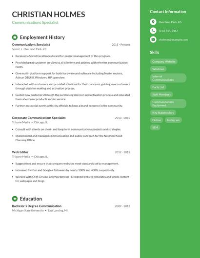Resume example 4