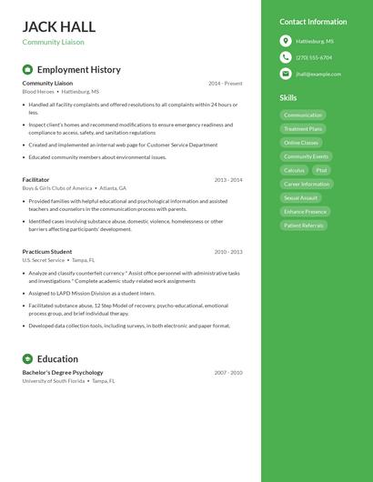 Resume example 4