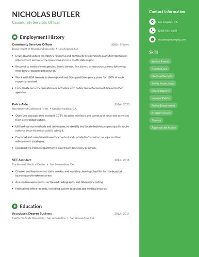 Resume example 4