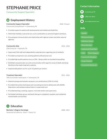 Resume example 4