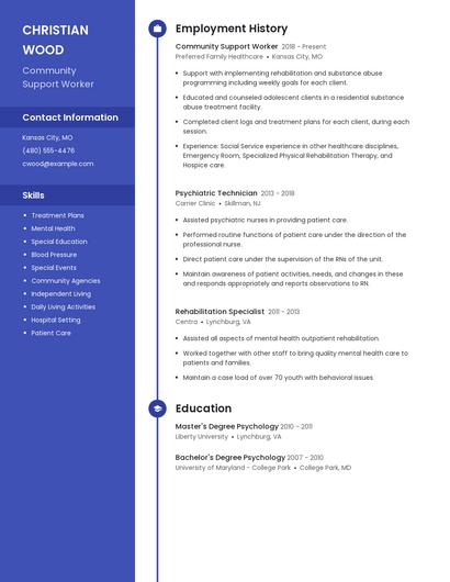 Resume example 5