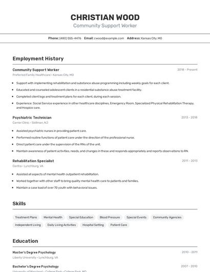 Resume example 2