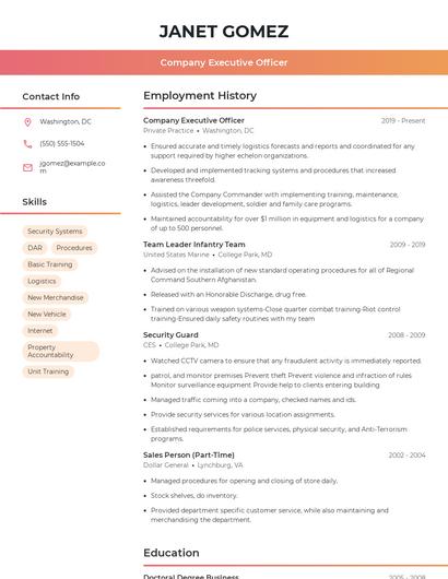 Company Executive Officer Resume