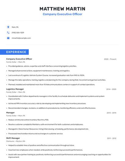 Company Executive Officer Resume