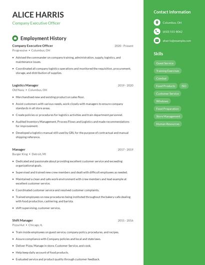 Resume example 4