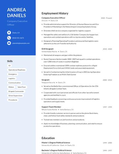 Company Executive Officer Resume