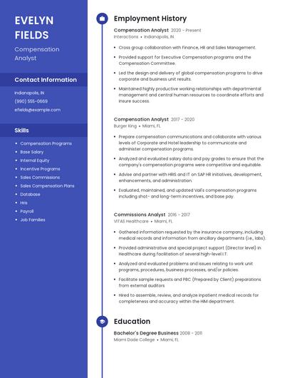 Resume example 4