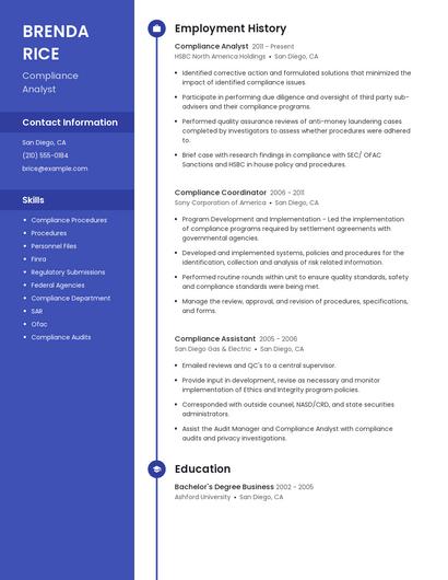 Resume example 4