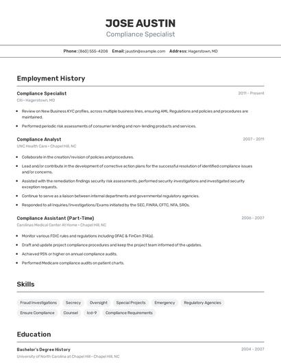 Resume example 2