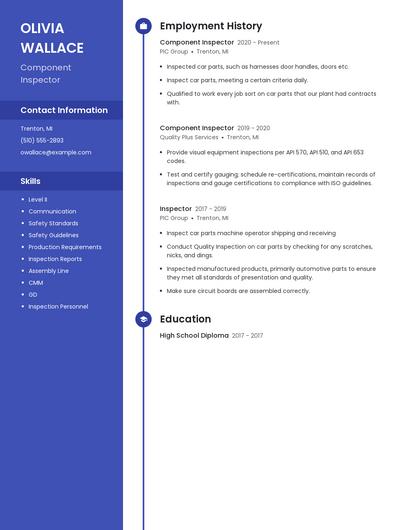 Component Inspector Resume