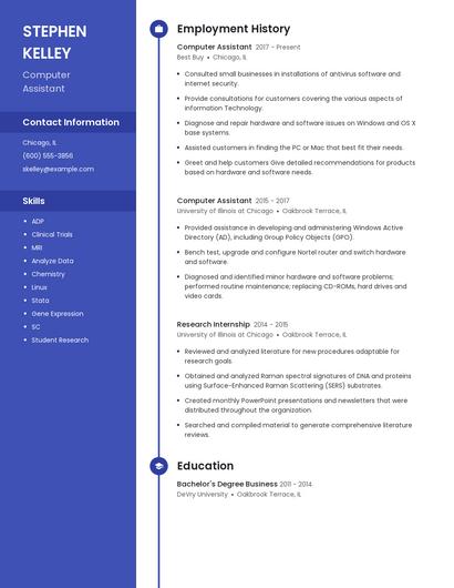 Resume example 4