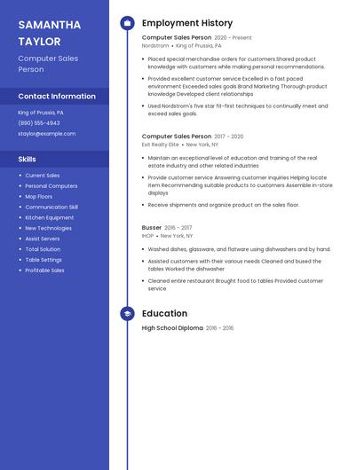 Computer Sales Person Resume