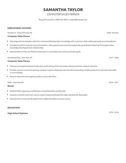 Computer Sales Person Resume