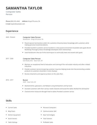 Computer Sales Person Resume