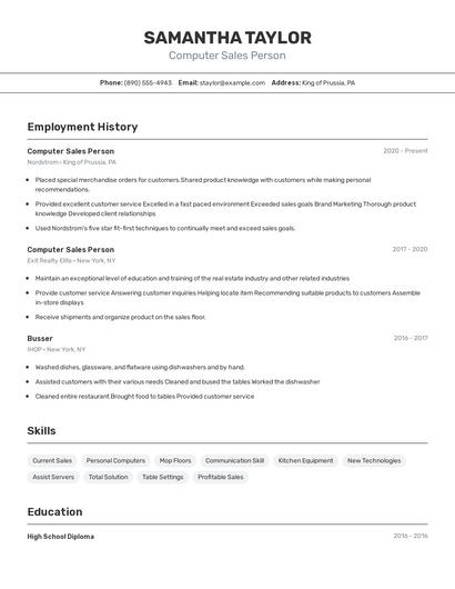 Computer Sales Person Resume