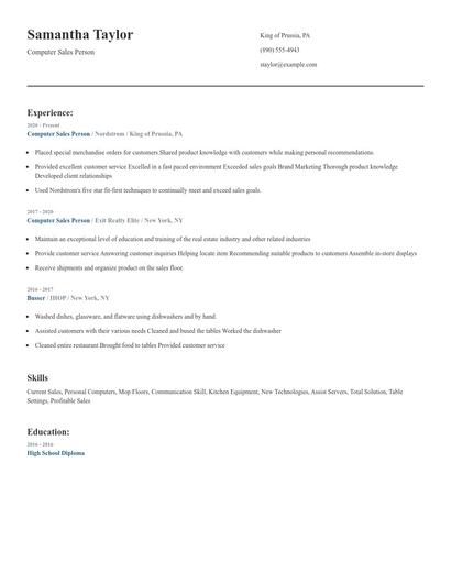 Computer Sales Person Resume
