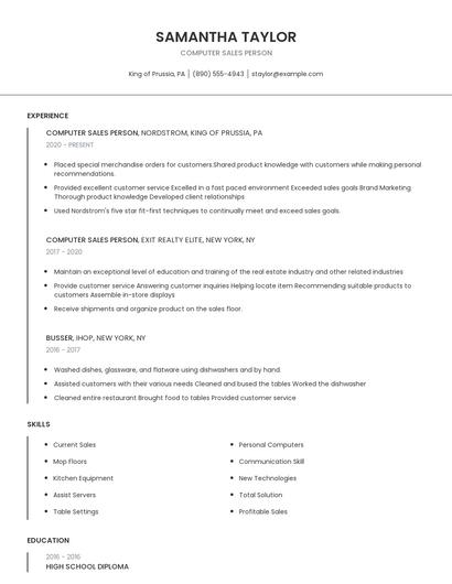 Computer Sales Person Resume