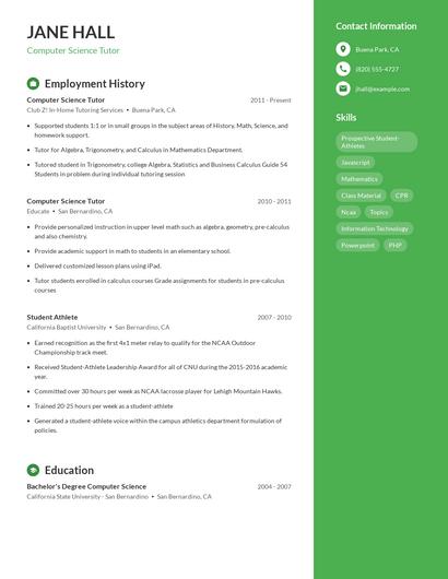Resume example 4