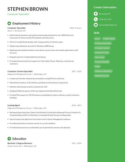 Resume example 4