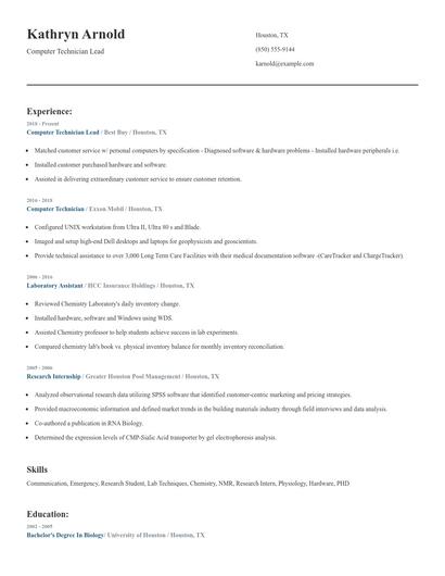Computer Technician Lead Resume