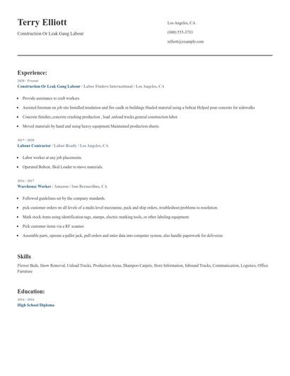 Construction Or Leak Gang Labour Resume