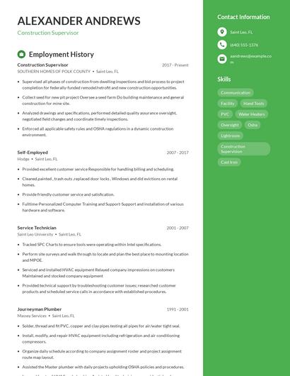 Resume example 5