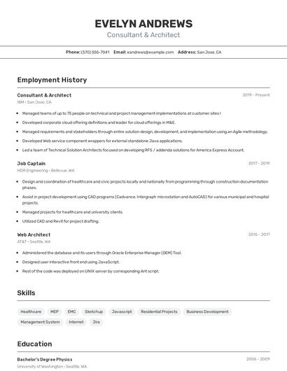 Consultant & Architect Resume