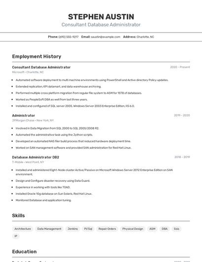 Resume example 2