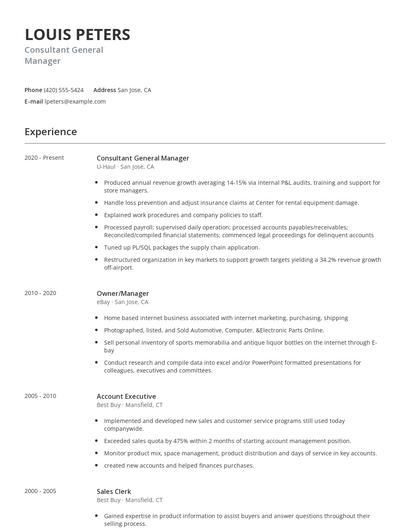 Consultant General Manager Resume