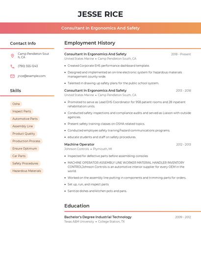 Consultant In Ergonomics And Safety Resume