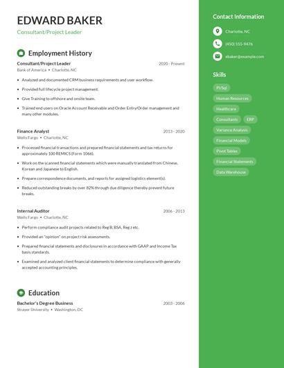 Consultant/Project Leader Resume